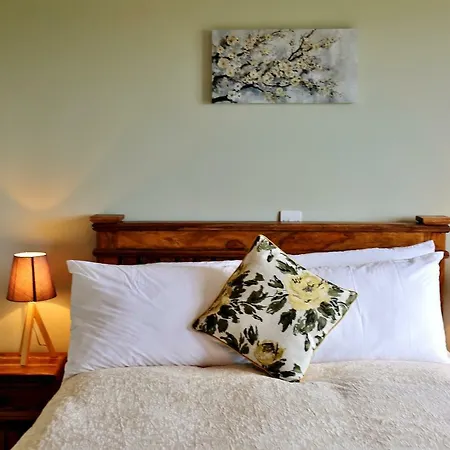 Vakantiehuis 11 Court Doolin